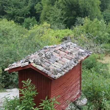 Rural 