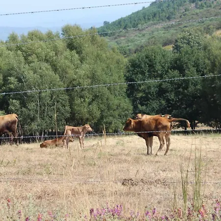 Apartamento Rural Os Telesforos *